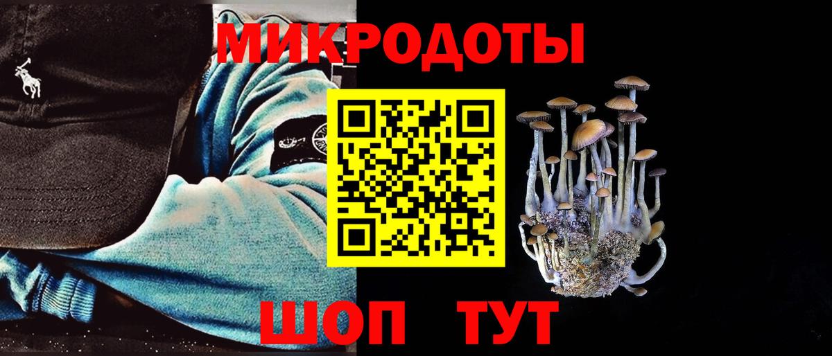 Галлюциногенные грибы прущие грибы Кыштым